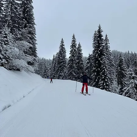 Duplex Skis Aux Pieds Centre Village - 6 Couchages - 2 Salles De Bain Appartement